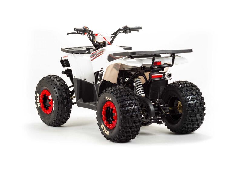 Квадроцикл MOTOLAND 200 WILD TRUCK - изображение 63