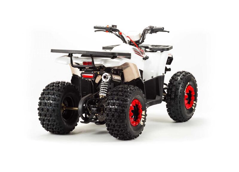 Квадроцикл MOTOLAND 200 WILD TRUCK - изображение 67