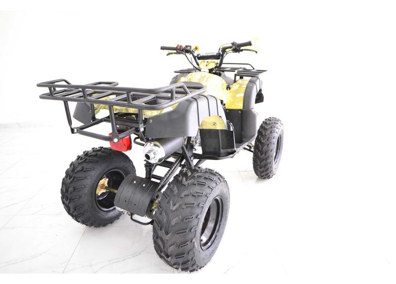 Квадроцикл MOTOLAND ATV 150 MAVERICK - изображение 100