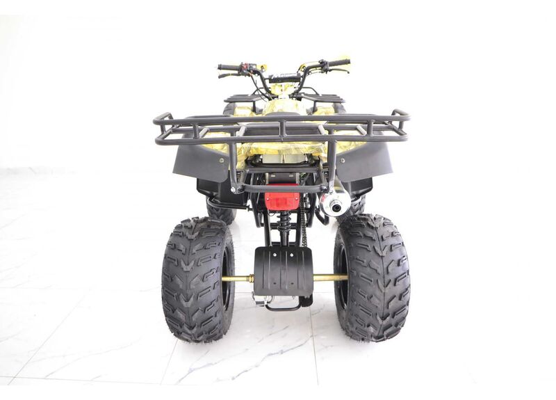 Квадроцикл MOTOLAND ATV 150 MAVERICK - изображение 101