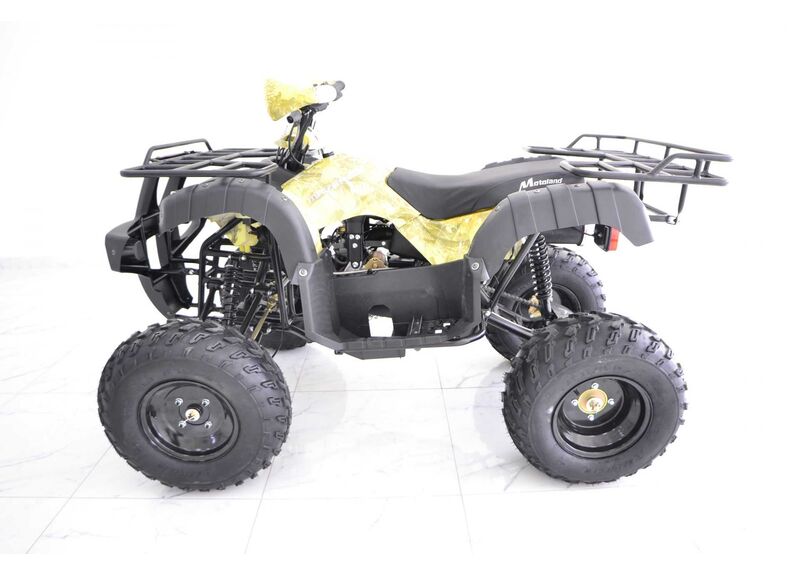 Квадроцикл MOTOLAND ATV 150 MAVERICK - изображение 103