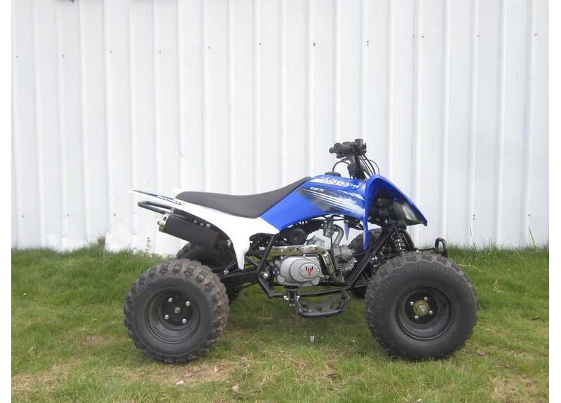 Квадроцикл PANTERA 125 SPORT - изображение 7