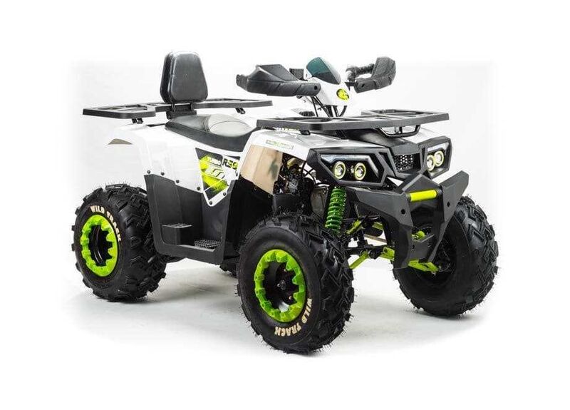 Квадроцикл MOTOLAND 200 WILD TRACK LUX - изображение 31