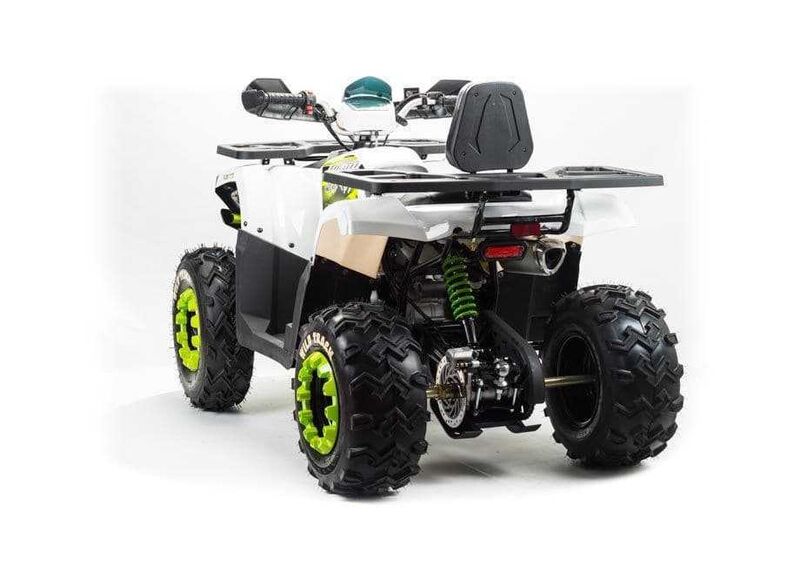 Квадроцикл MOTOLAND 200 WILD TRACK LUX - изображение 33