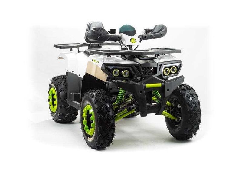Квадроцикл MOTOLAND 200 WILD TRACK LUX - изображение 35