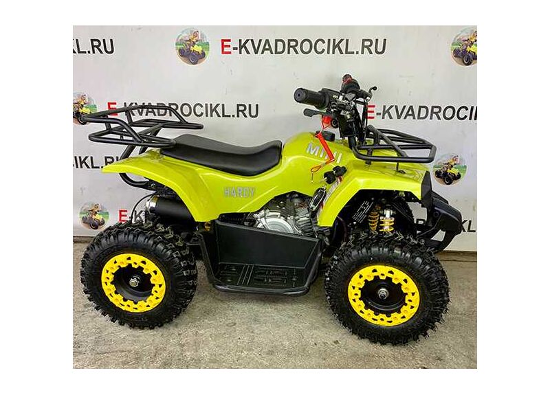 MINI HARDY 4T - изображение 27
