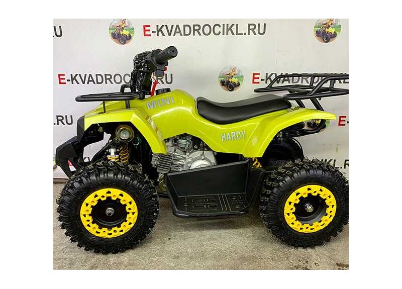 MINI HARDY 4T - изображение 28