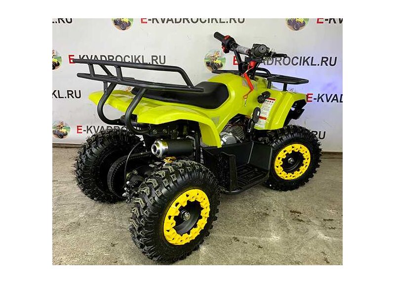 MINI HARDY 4T - изображение 29