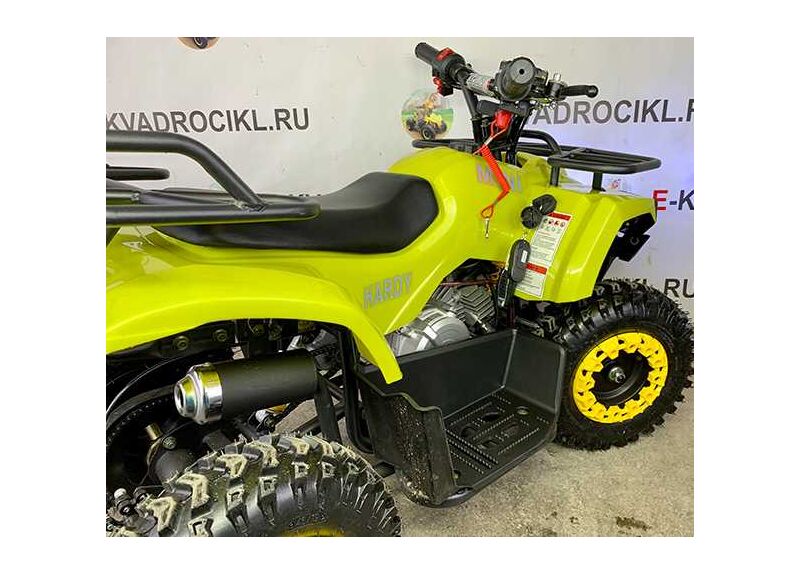 MINI HARDY 4T - изображение 31