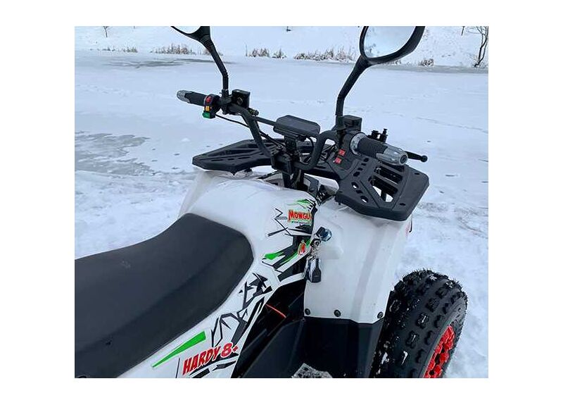 MOWGLI E-HARDY 8+ 1000W - изображение 38