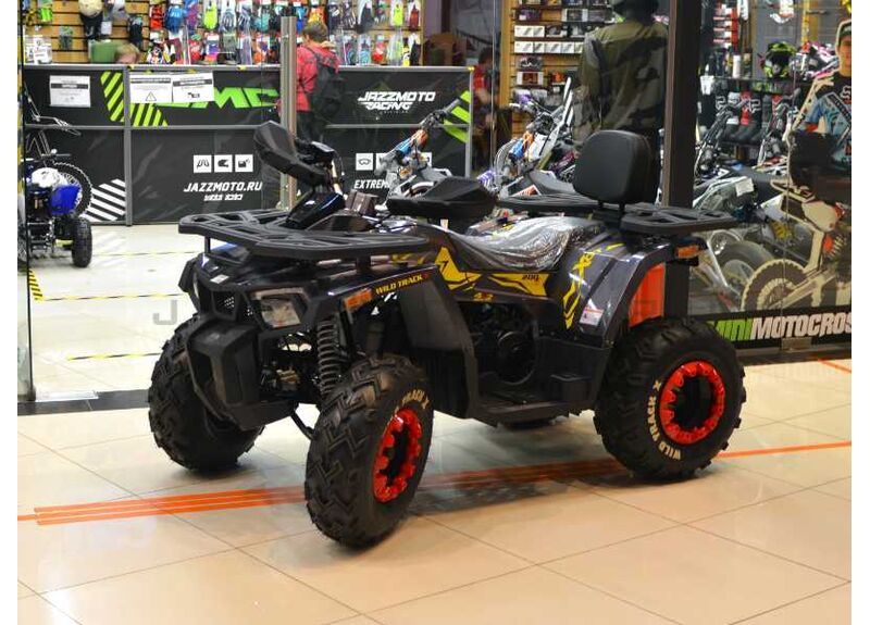Квадроцикл 200 WILD TRACK X Motoland 200 10 - изображение 2 | SteelRacing.ru
