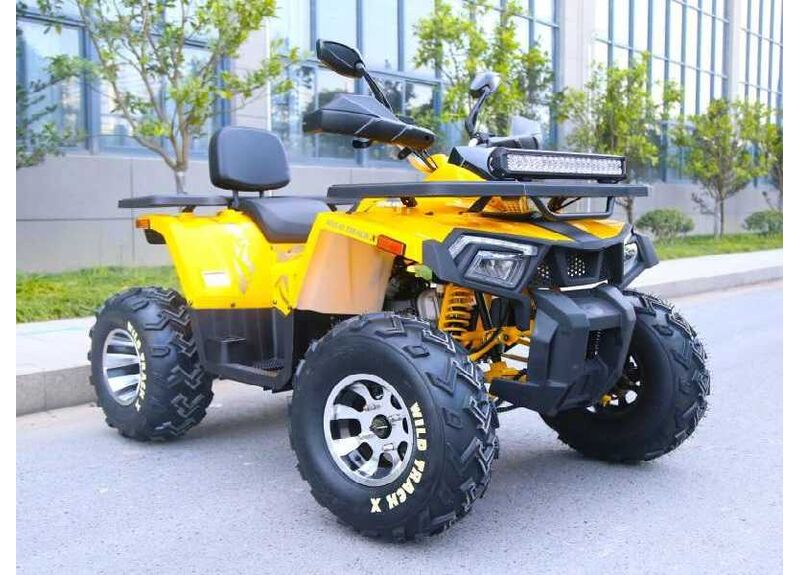 Квадроцикл 200 WILD TRACK X Motoland 200 10 - изображение 3 | SteelRacing.ru