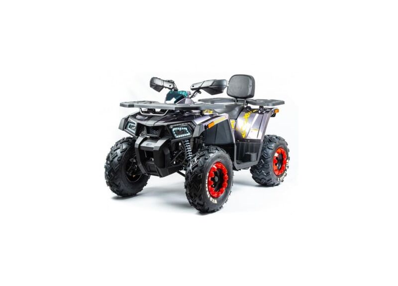 Квадроцикл MOTOLAND 200 WILD TRACK X PRO - изображение 52
