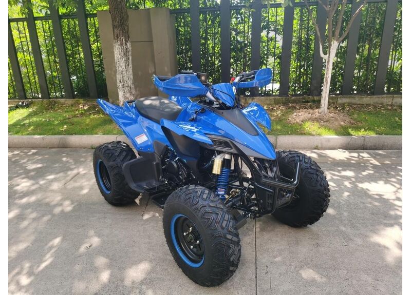 Квадроцикл ATV SPORTY 250 250 16 - изображение 1 | SteelRacing.ru