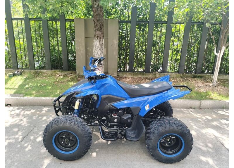 Квадроцикл ATV SPORTY 250 250 16 - изображение 2 | SteelRacing.ru