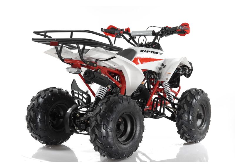 Квадроцикл MOTAX ATV Raptor Super LUX 125 - изображение 86