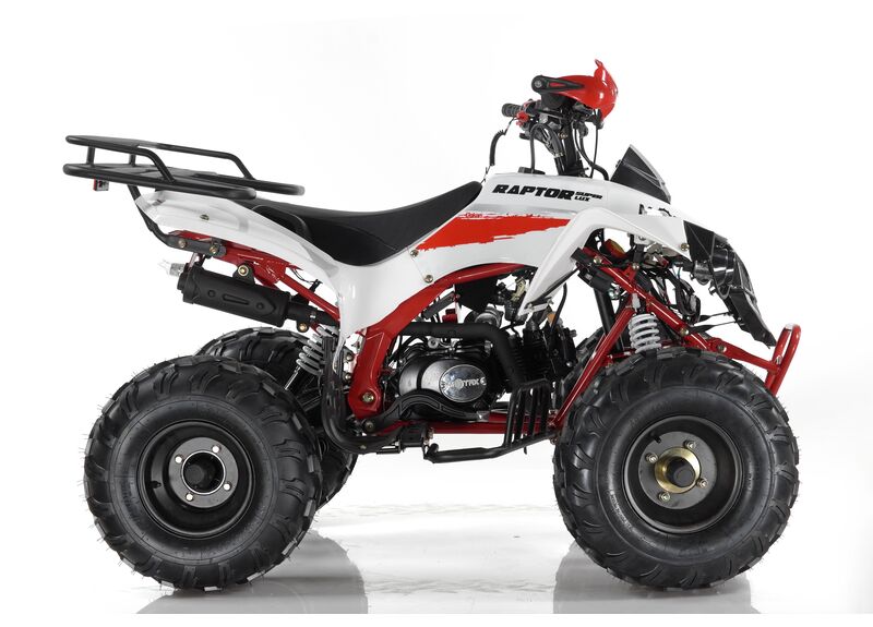 Квадроцикл MOTAX ATV Raptor Super LUX 125 - изображение 90