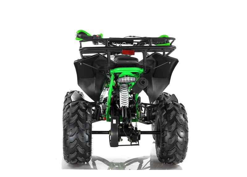 Квадроцикл MOTAX ATV Raptor Super LUX 125 - изображение 92