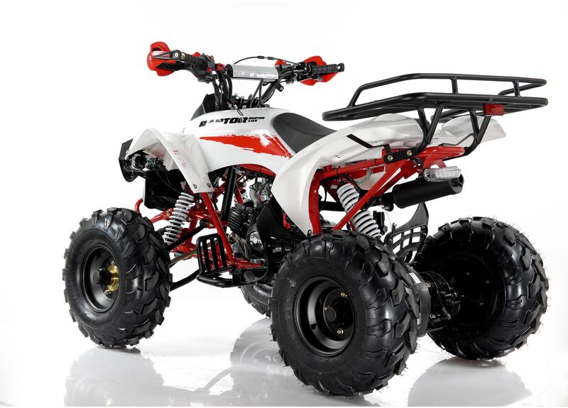 Квадроцикл MOTAX ATV Raptor Super LUX 125 - изображение 99
