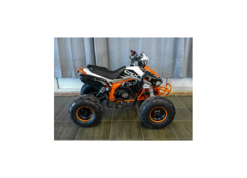 Квадроцикл MOTAX ATV T-Rex LUX 125 - изображение 52