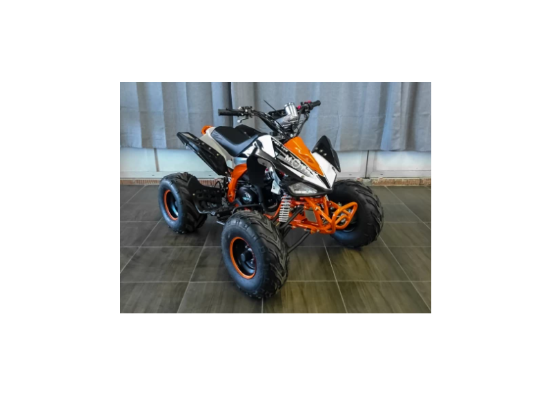 Квадроцикл MOTAX ATV T-Rex LUX 125 - изображение 53