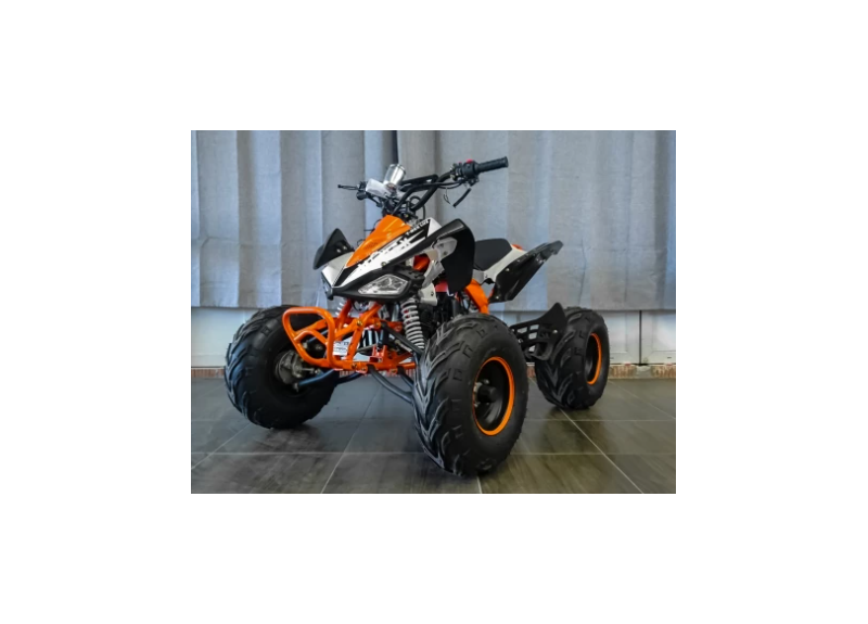 Квадроцикл MOTAX ATV T-Rex LUX 125 - изображение 54