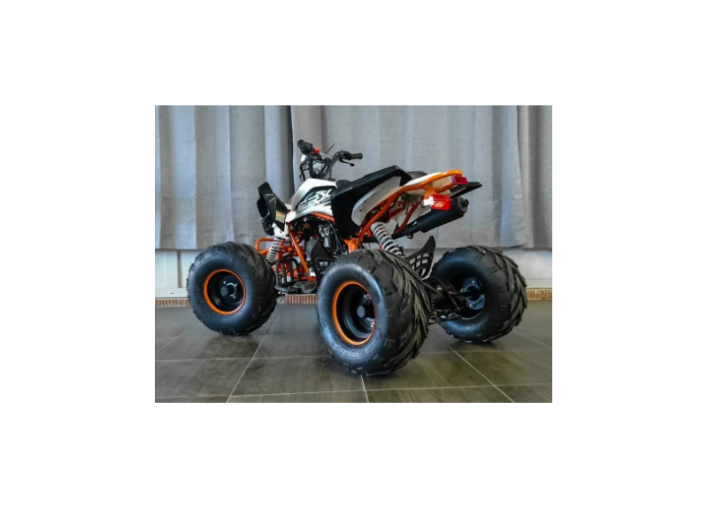 Квадроцикл MOTAX ATV T-Rex LUX 125 - изображение 55