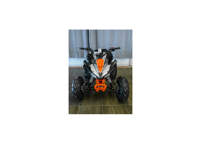 Квадроцикл MOTAX ATV T-Rex LUX 125 - изображение 56