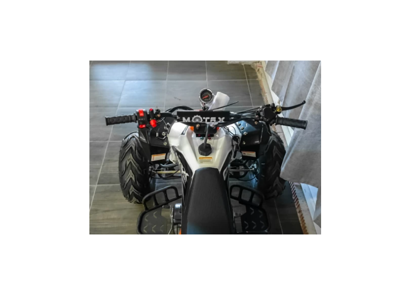 Квадроцикл MOTAX ATV T-Rex LUX 125 - изображение 60