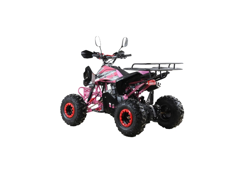 Квадроцикл MOTAX ATV T-Rex Super LUX 125 - изображение 34