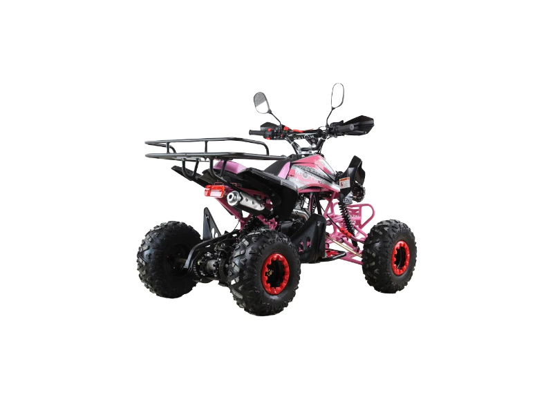 Квадроцикл MOTAX ATV T-Rex Super LUX 125 - изображение 35
