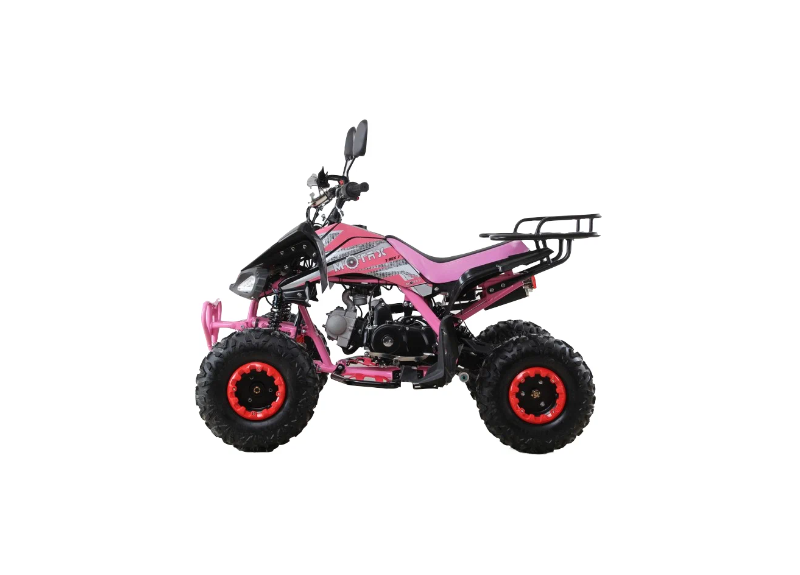 Квадроцикл MOTAX ATV T-Rex Super LUX 125 - изображение 36