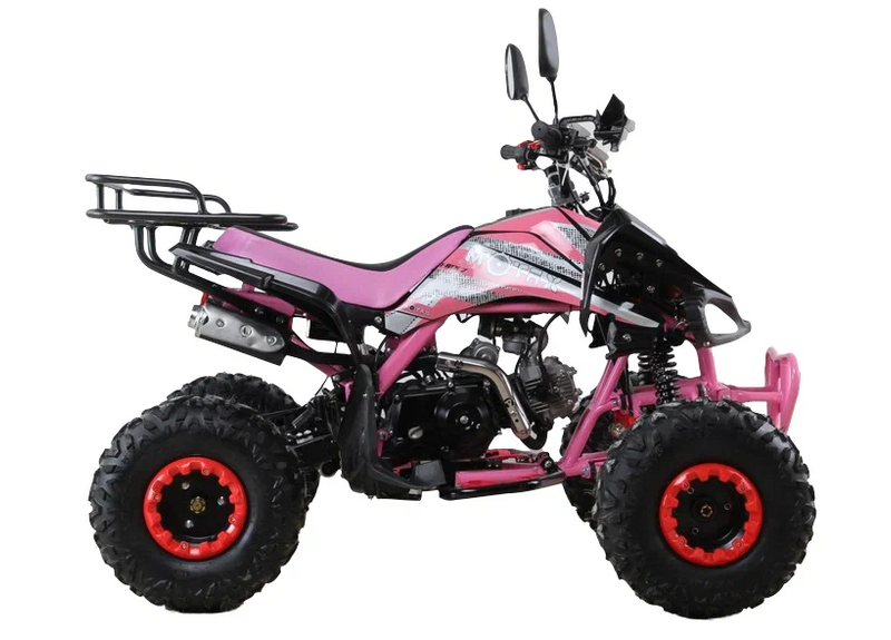 Квадроцикл MOTAX ATV T-Rex Super LUX 125 - изображение 37