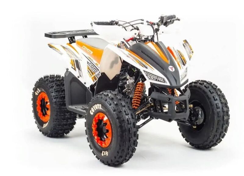 Квадроцикл MOTOLAND 125 COYOTE - изображение 26