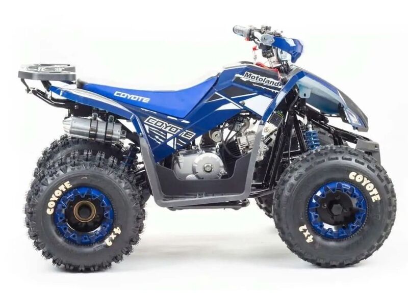 Квадроцикл MOTOLAND 125 COYOTE - изображение 30