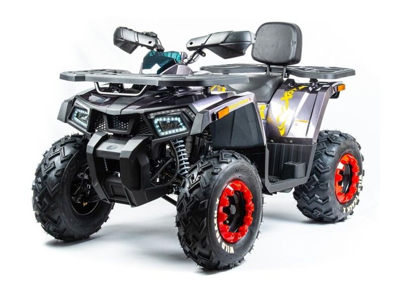 Квадроцикл MOTOLAND 200 WILD TRACK X PRO - изображение 53