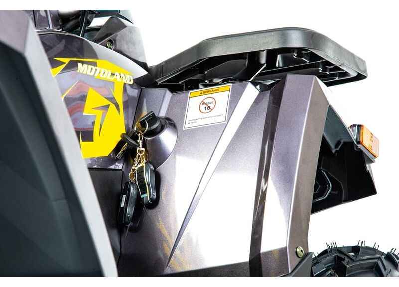 Квадроцикл MOTOLAND 200 WILD TRACK X PRO - изображение 63