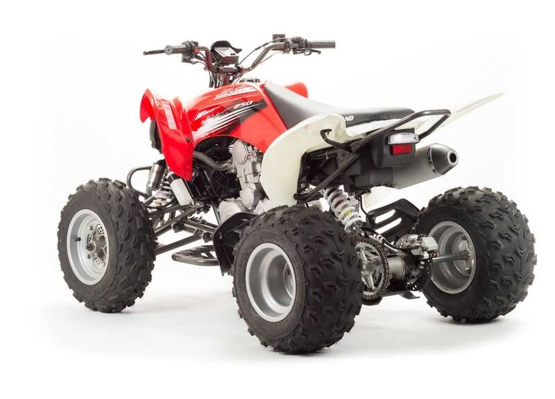 Квадроцикл MOTOLAND 250S - изображение 55