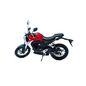 Мотоцикл Motoland CB250 (172FMM-5/PR250) Motoland 250 21 - изображение 7 | SteelRacing.ru