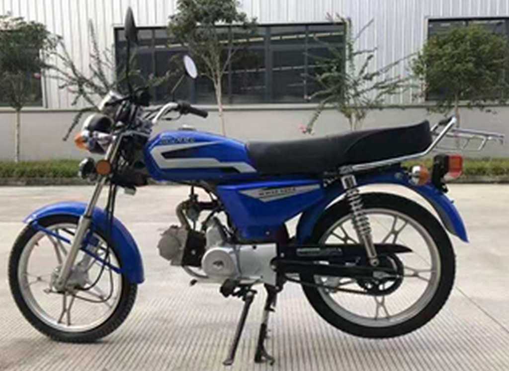 ᐉ Мопед ROLIZ Альфа C Эконом > купите с доставкой! | Цены ниже чем в ...