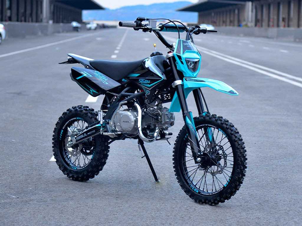 ᐉ Питбайк Regulmoto SEVEN MEDALIST PRO 17/14 > купите с доставкой ...